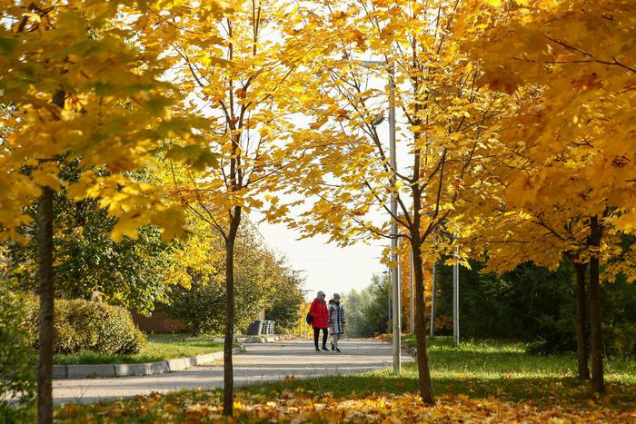 Отмечаем День учителя, идём на спектакль и творим: чем заняться в Москве в октябре