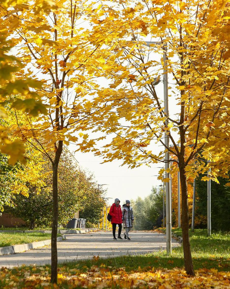 Отмечаем День учителя, идём на спектакль и творим: чем заняться в Москве в октябре