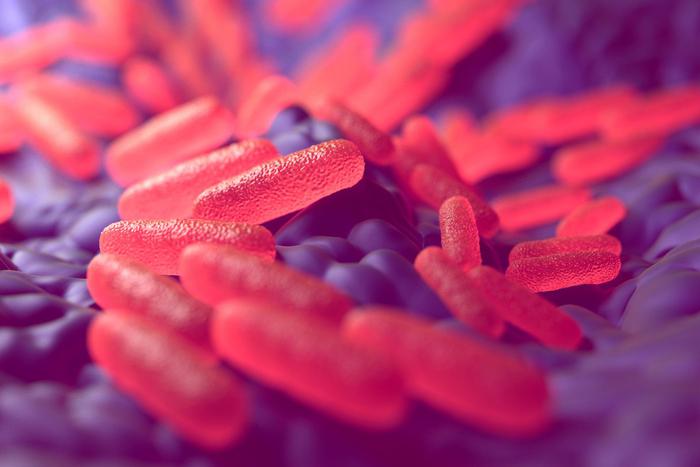 Вероятно цивилизации бронзового века погибли от чумы и брюшного тифа. Немецкие учёные рассказали, чем могли болеть наши предки