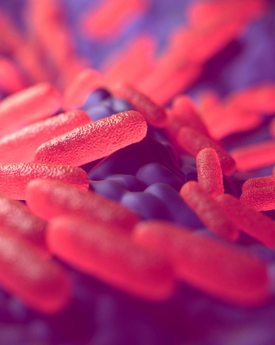 Вероятно цивилизации бронзового века погибли от чумы и брюшного тифа. Немецкие учёные рассказали, чем могли болеть наши предки