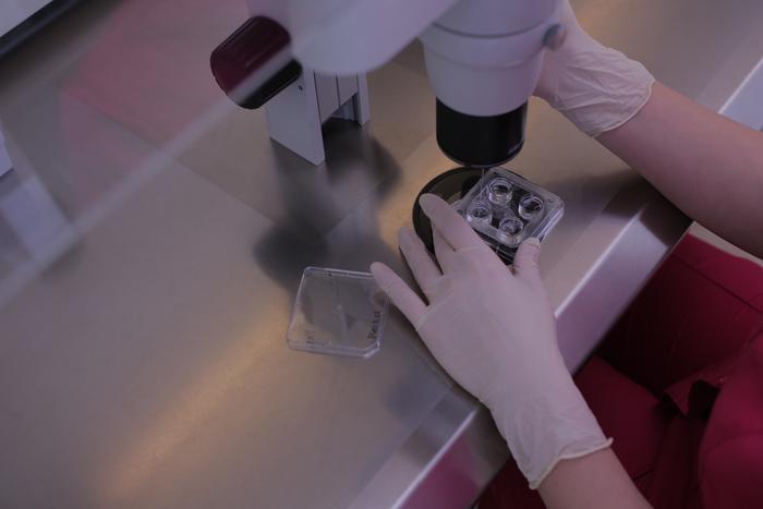 Сохранить на будущее. В столице вырос спрос на заморозку спермы