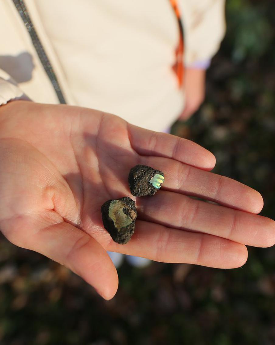 Зубы древних акул и "чёртовы пальцы" валяются под ногами в Зябликово