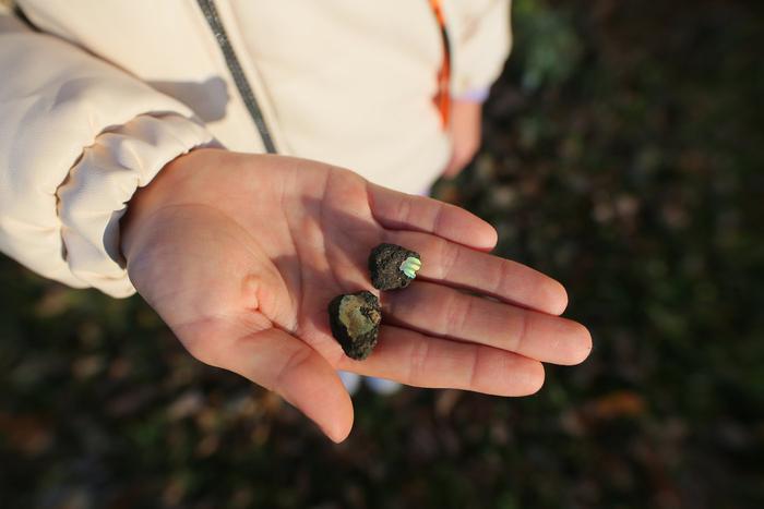 Зубы древних акул и "чёртовы пальцы" валяются под ногами в Зябликово