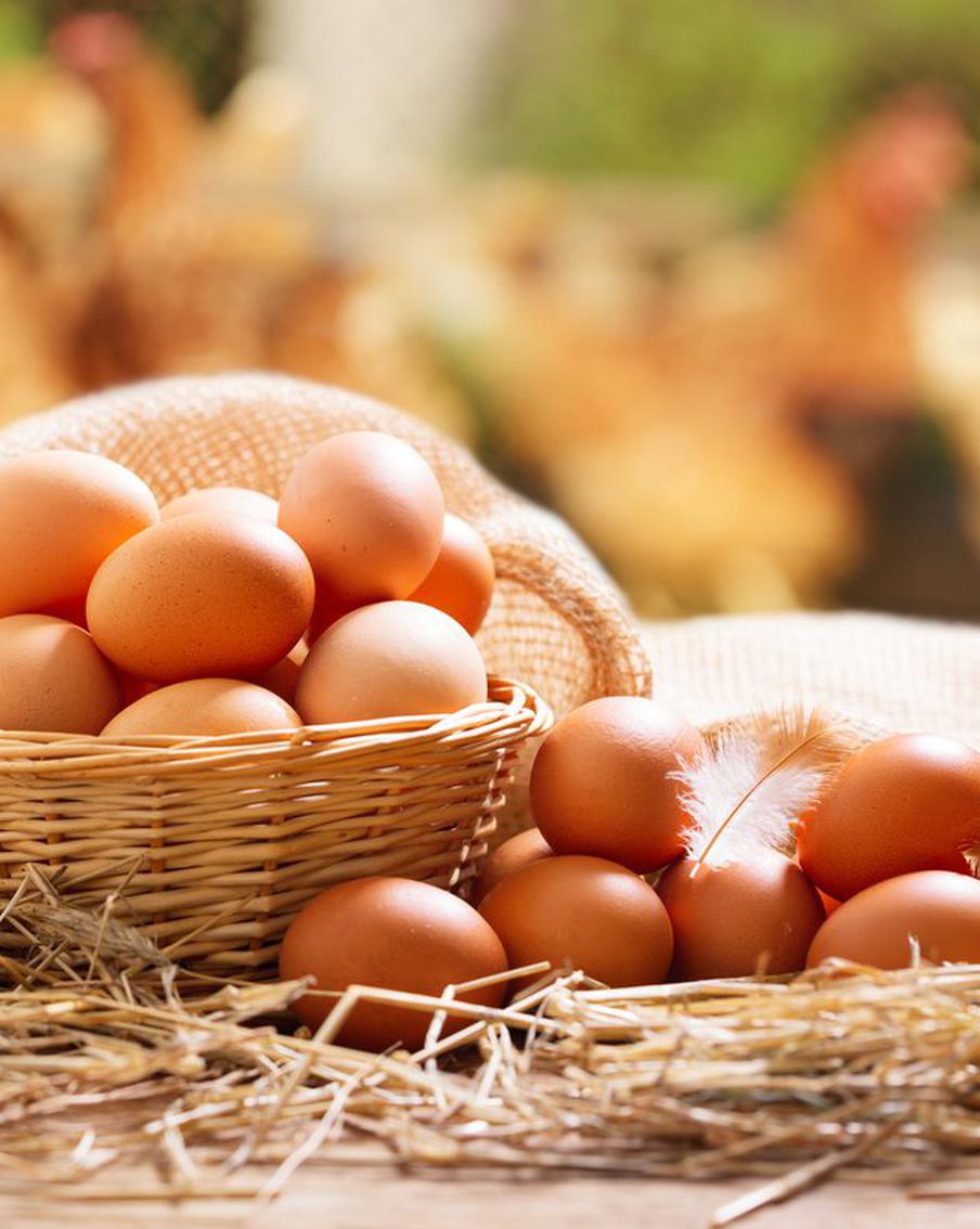 Разнообразьте свой завтрак, приготовив из яиц оригинальные и, главное, вкусные блюда