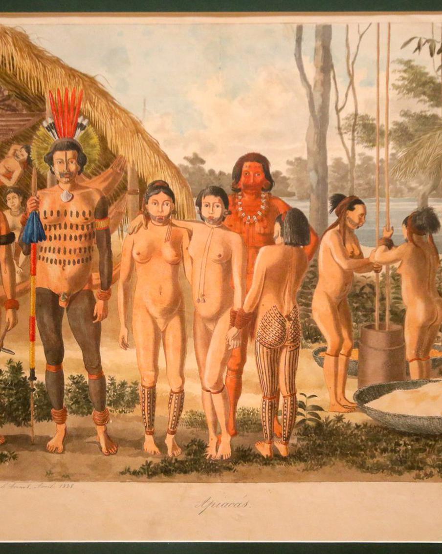 Индейцы, джунгли и пираньи. Русские были в Бразилии 200 лет назад