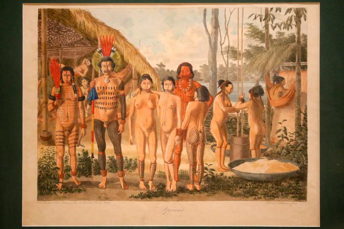 Индейцы, джунгли и пираньи. Русские были в Бразилии 200 лет назад