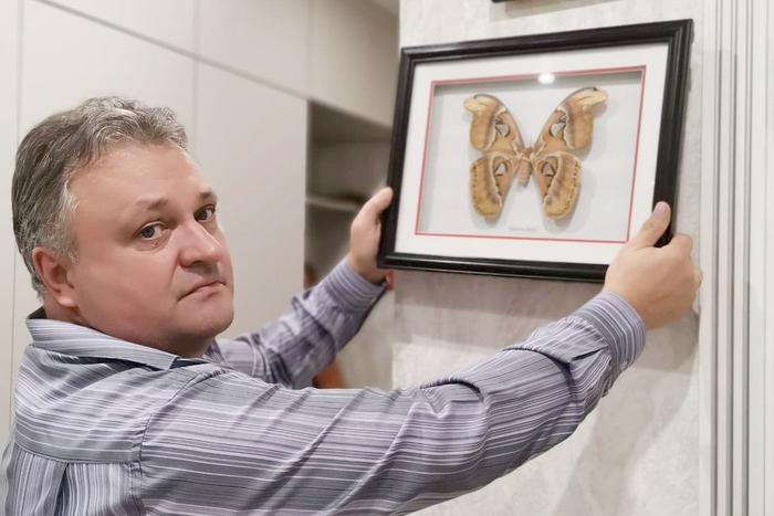 Бабочки живут несколько дней, но любоваться ими можно всю жизнь