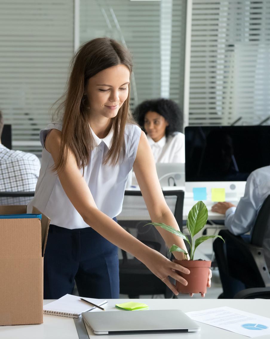 Новеньким угрожают проблемы с кожей, зависть коллег и вечные дедлайны