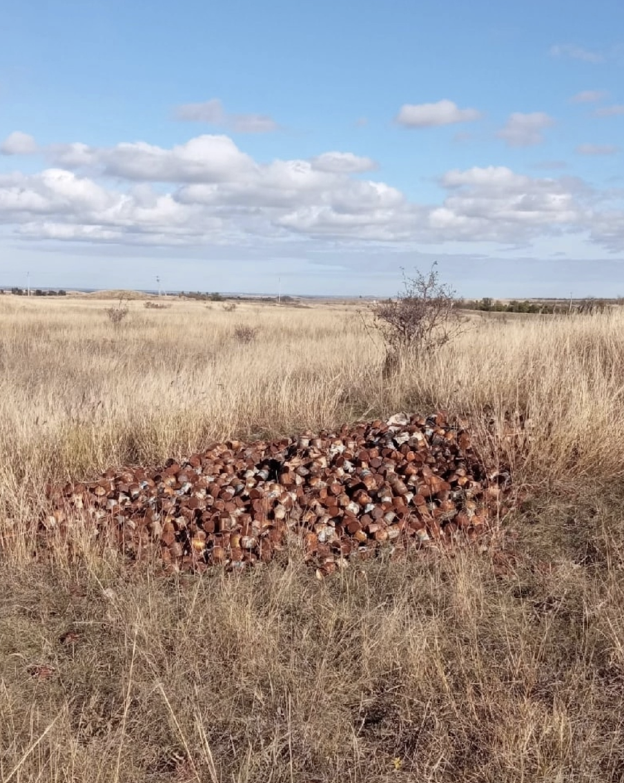 Молочка-просрочка: крымские Винни Пухи нашли не ту сгущёнку
