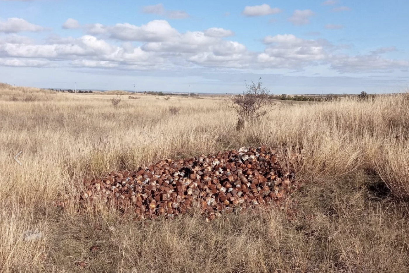 Молочка-просрочка: крымские Винни Пухи нашли не ту сгущёнку