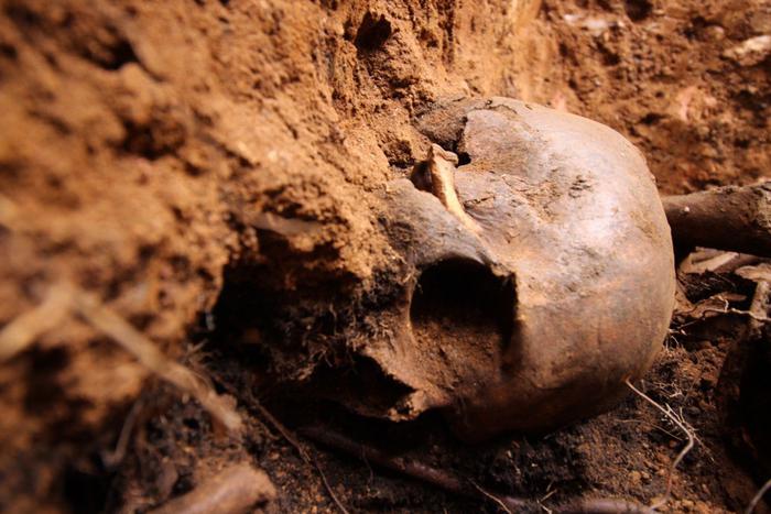 "Ели там же, где закапывали тела": археологи исследуют полигон НКВД