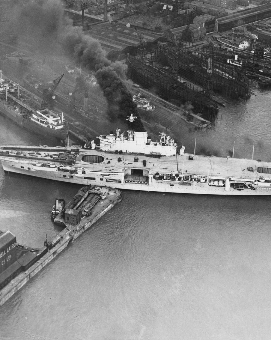 Синяя Борода среди котов: как легендарный пушистик пережил 2265 военных моряков