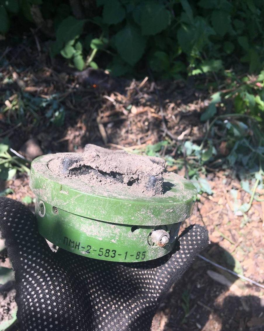 Это лишь часть мин, которые отряд Алексея обезвредил в Луганской Народной Республике за один день. Остальные – не влезли на снимок. А в руке у Алексея обнаруженная им противопехотная мина ПМН-2
