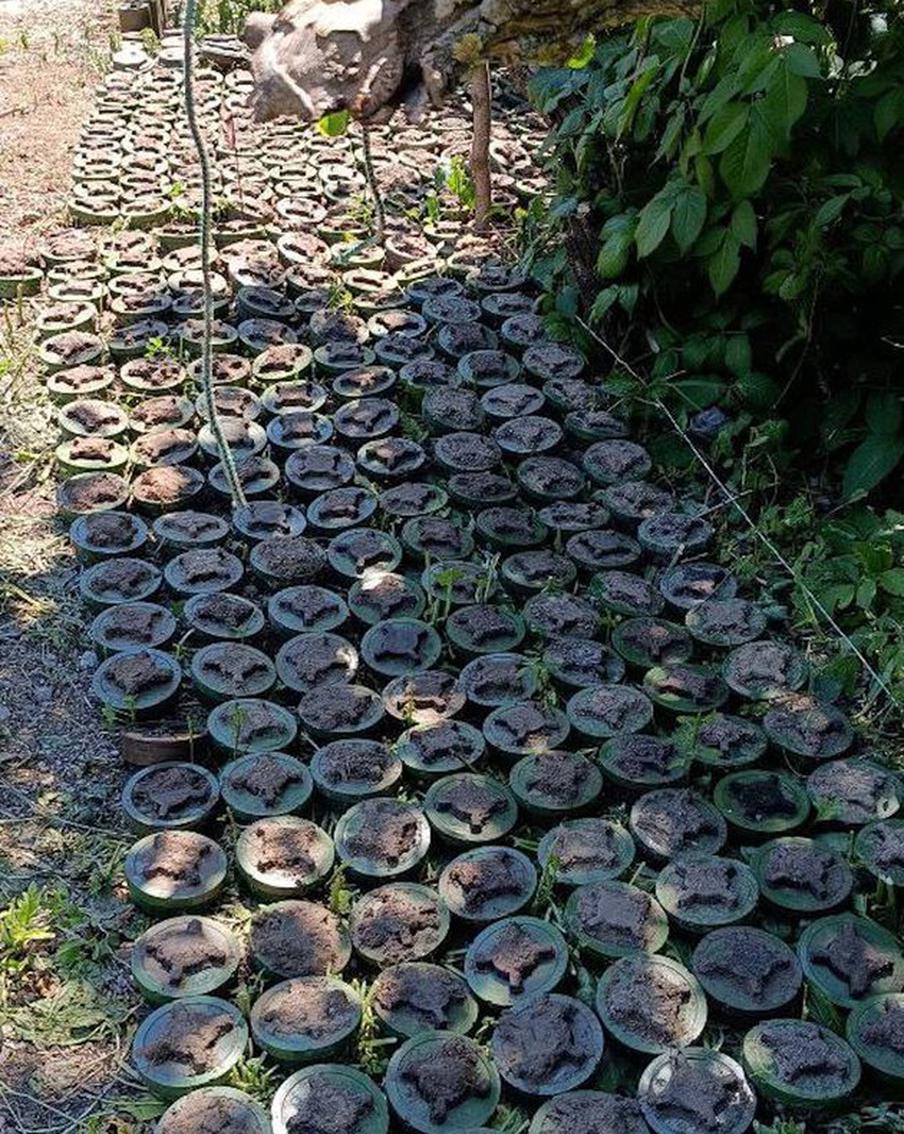 Это лишь часть мин, которые отряд Алексея обезвредил в Луганской Народной Республике за один день. Остальные – не влезли на снимок. А в руке у Алексея обнаруженная им противопехотная мина ПМН-2