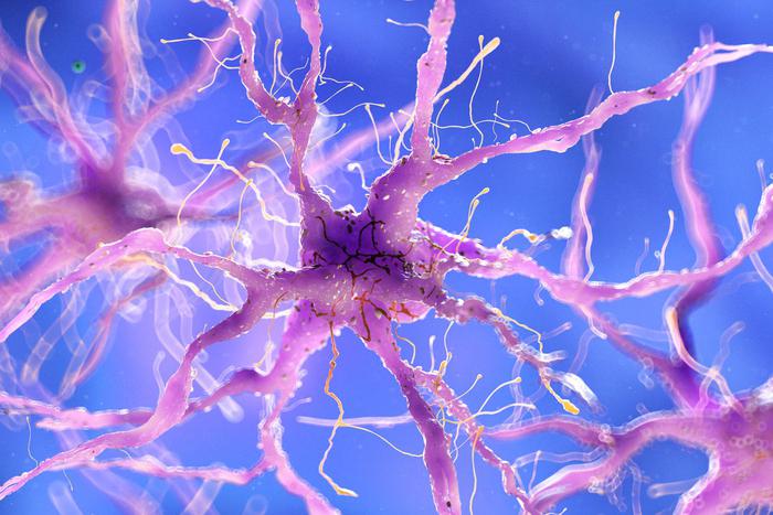 Учёные создали устройство, которое восстановит нервы за очень короткий срок
