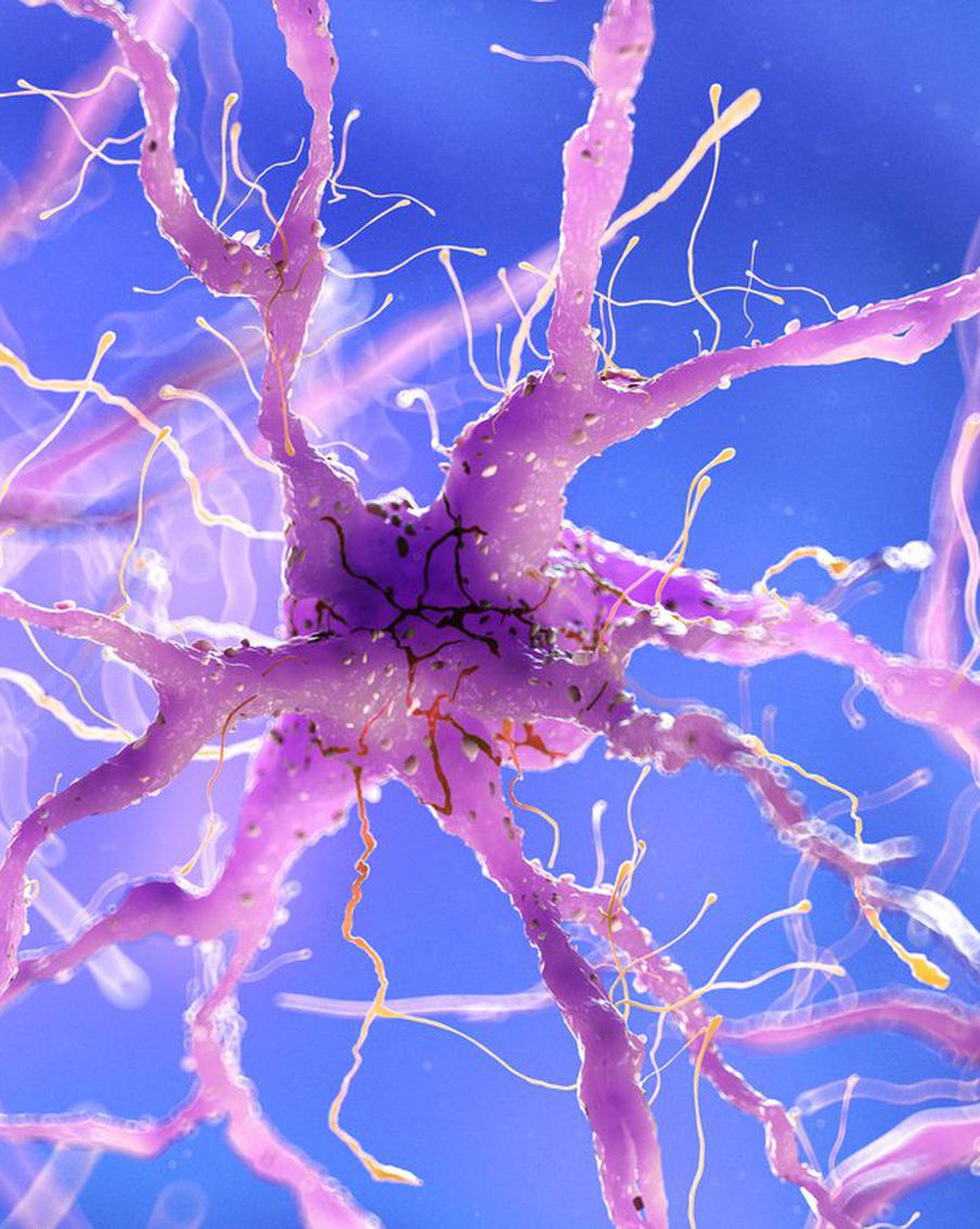 Учёные создали устройство, которое восстановит нервы за очень короткий срок