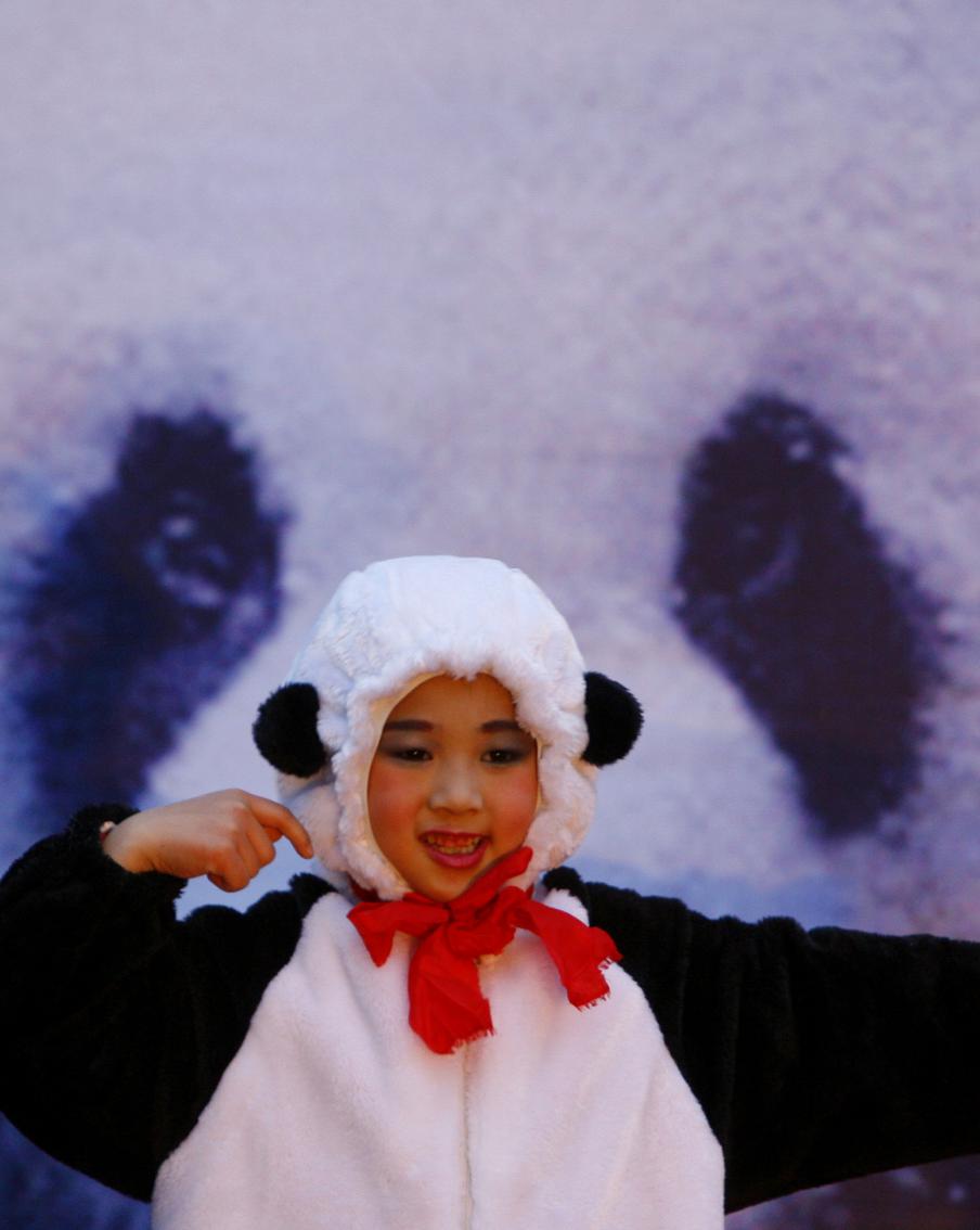 Ушёл из жизни самец панды, подаренный Тайваню Китаем. Metro узнало историю меховых дипломатов