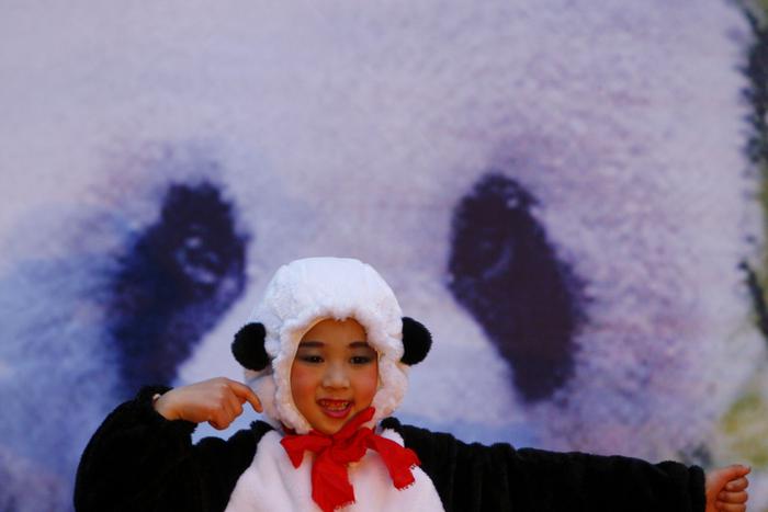 Ушёл из жизни самец панды, подаренный Тайваню Китаем. Metro узнало историю меховых дипломатов