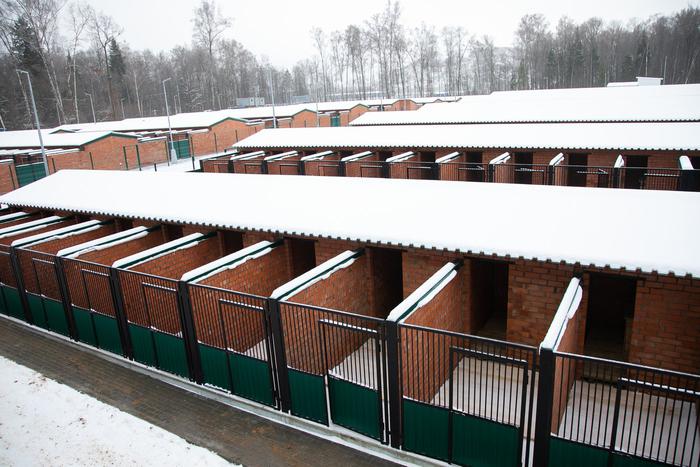 В Москве откроют новый современный приют для безнадзорных животных