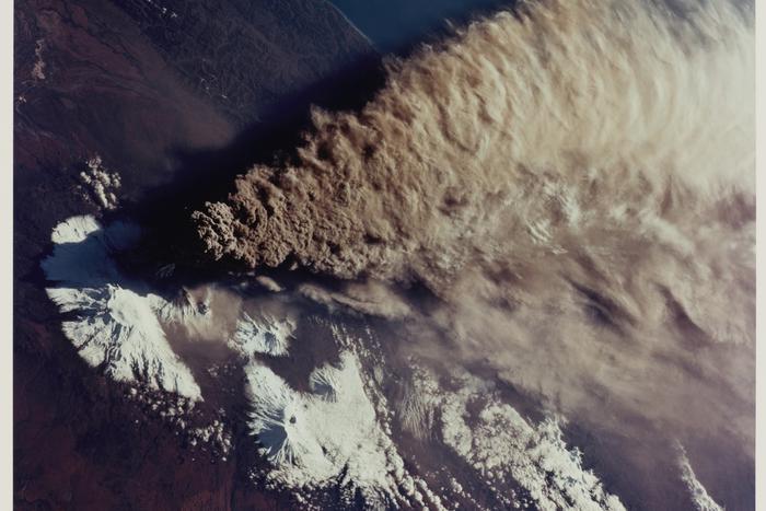 Учёные "разбудили" семь вирусов из ящика Пандоры: могут ли они представлять опасность?