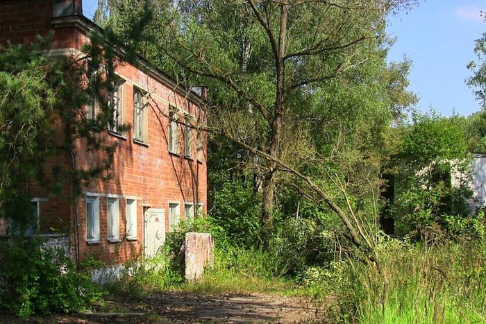 Прибыльная чаща: на российских лесных угодьях разрешили делать туристический бизнес