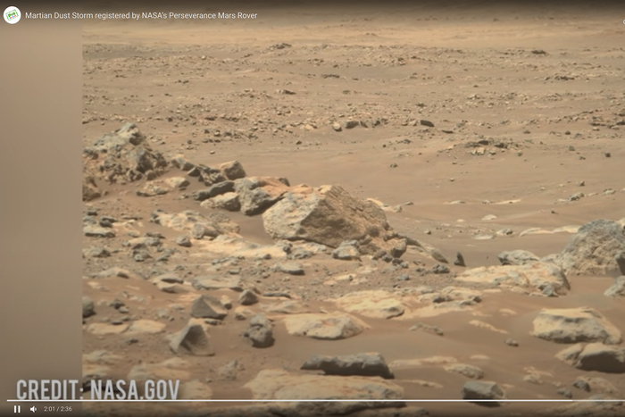 Учёные предлагают спасти лес от исчезновения – деревья можно выращивать... на Марсе!