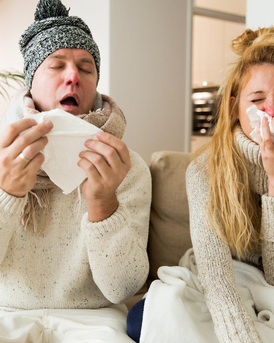 В Россию пришёл свиной грипп (и не только). Как его распознать и как правильно лечиться