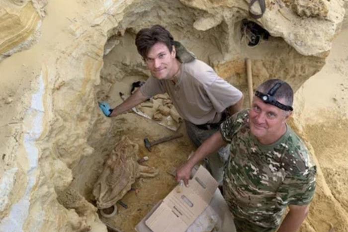 Останки древней трёхпалой лошади обнаружили палеонтологи в Ставропольском крае