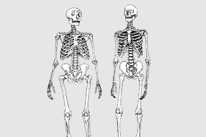 Верующие троглодиты: у неандертальцев были кладбища