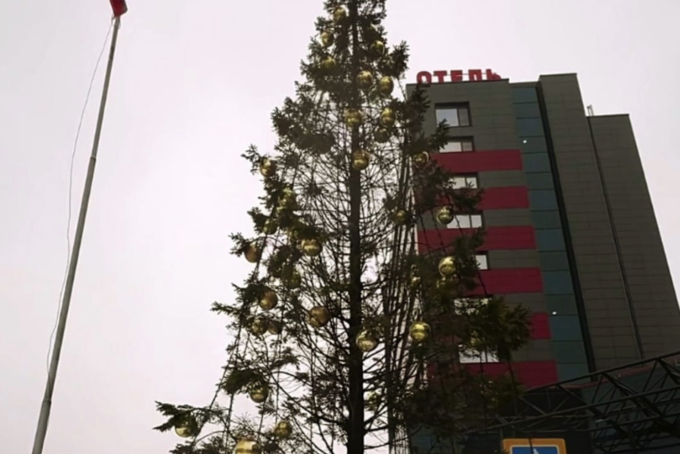 Ёлка хуже, чем с похмелья: в Рыбинске нашли зелёную анорексичку