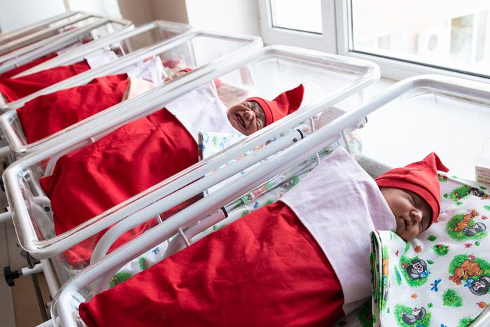 На новорожденных малышей надевают праздничные колпаки, чтобы создать атмосферу Нового года