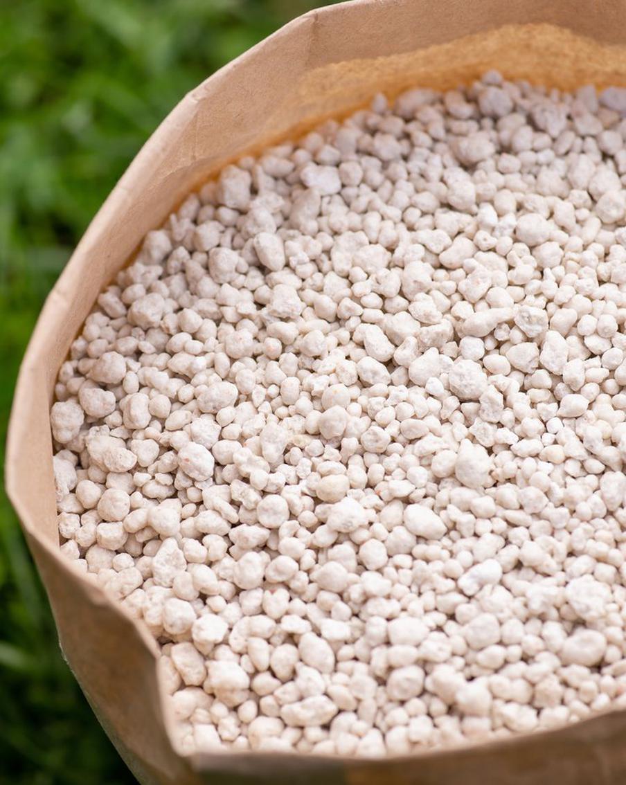 Кушать хотят: ЕС снимает санкции с России из-за угрозы голода