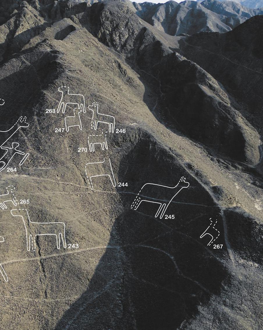 Раскрыта тайна геоглифов Наска. Это удалось сделать учёным из Японии и Перу