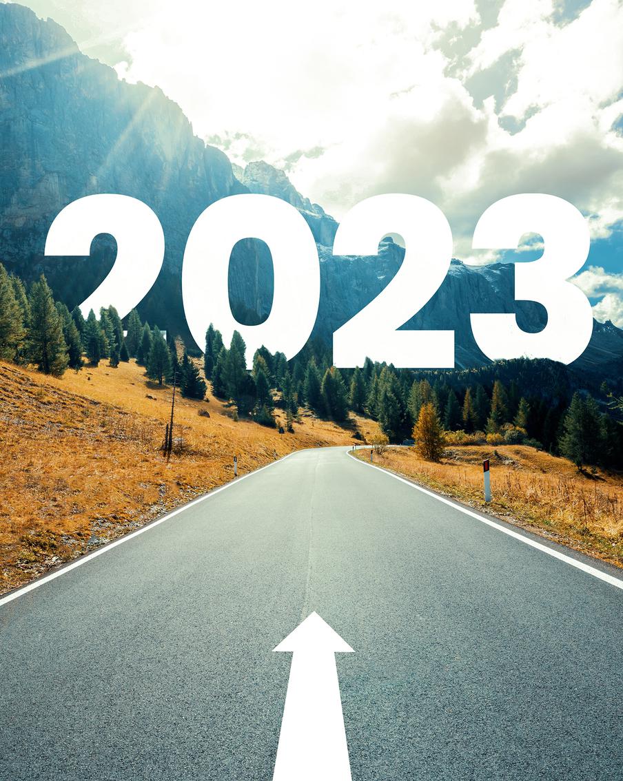 Достигая цели 2023. 2022 Год.