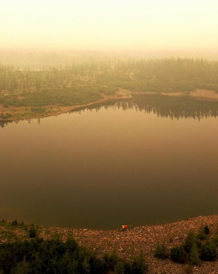 Кровососущие северных широт: учёные открыли новые виды пиявок