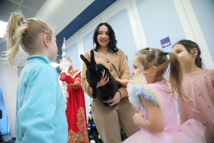 Кролики – не игрушки, не дарите их детям: депутат Мосгордумы против кроликов в качестве новогодних подарков