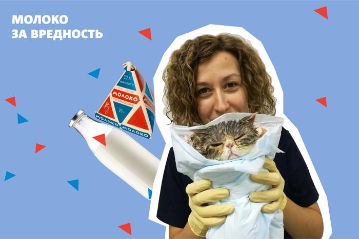 Какие сложности могут поджидать в работе ветеринара? Узнали у специалиста об изнанке профессии