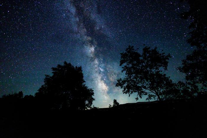 Денежный кролик: астролог прогнозирует благоприятные финансовые тренды в 2023 году