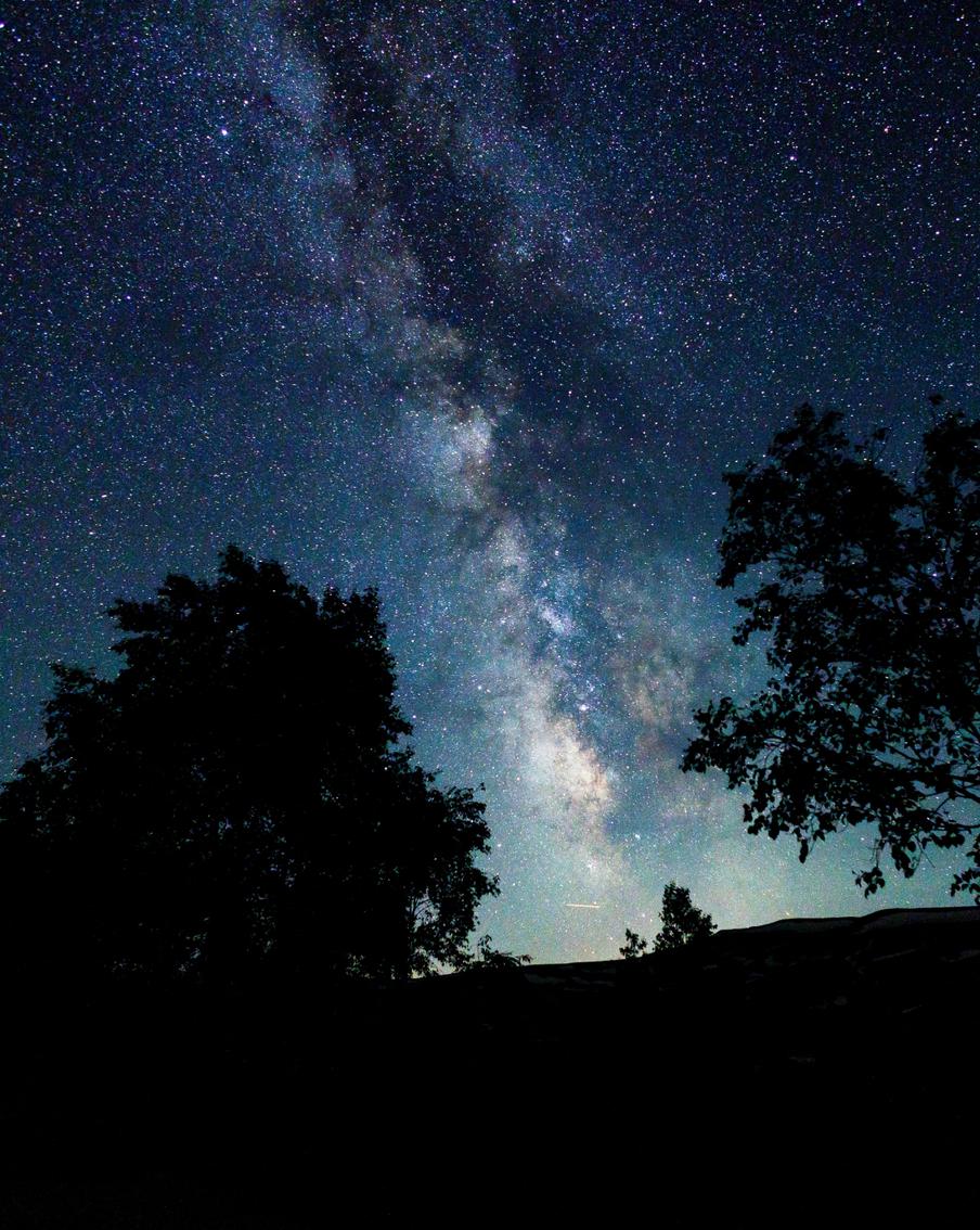 Денежный кролик: астролог прогнозирует благоприятные финансовые тренды в 2023 году
