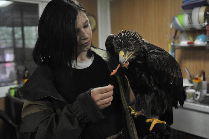 Наблюдаем за птицами в столичных парках: где искать пернатых из Красной книги и как им помочь