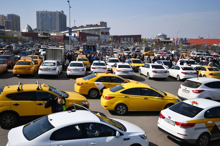 Купи слона: вид на жительство в России теперь можно приобрести за большие деньги