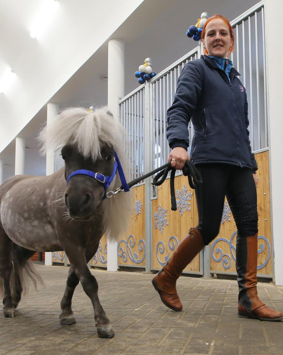 В Москве открылся Музей лошади и Metro побывало в нём одним из первых