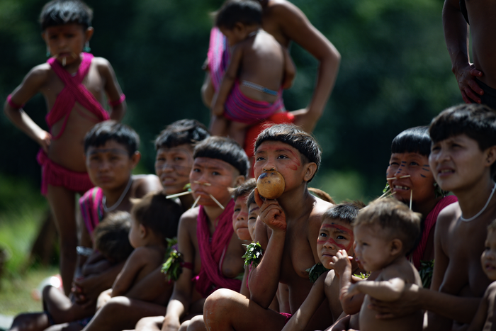 Президент Бразилии обвинил бывшего соперника по выборам в отвратительном отношении к индейцам Амазонки