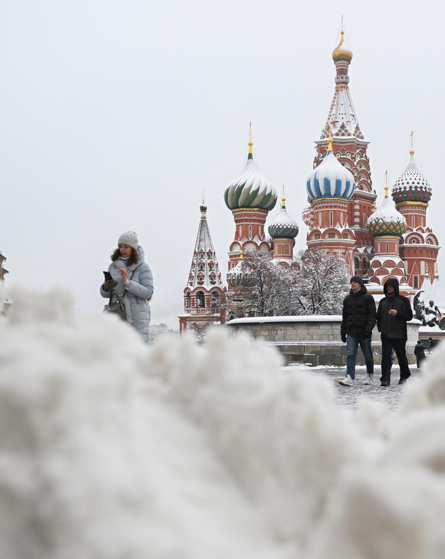 За прогулку с телёнком по Красной площади американка попала в отделение полиции