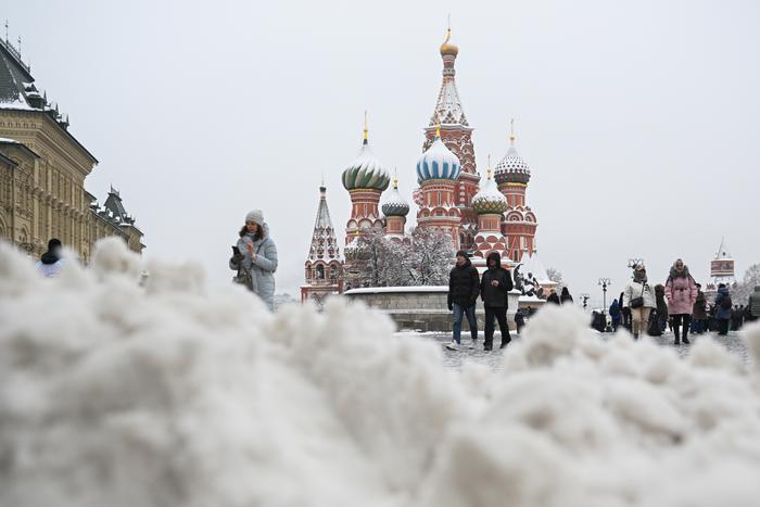 За прогулку с телёнком по Красной площади американка попала в отделение полиции