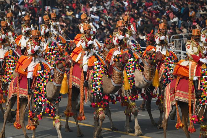 В Индии с размахом прошёл военный парад с верблюжьей кавалерией. Metro выясняло, зачем армии этой страны двугорбые бойцы
