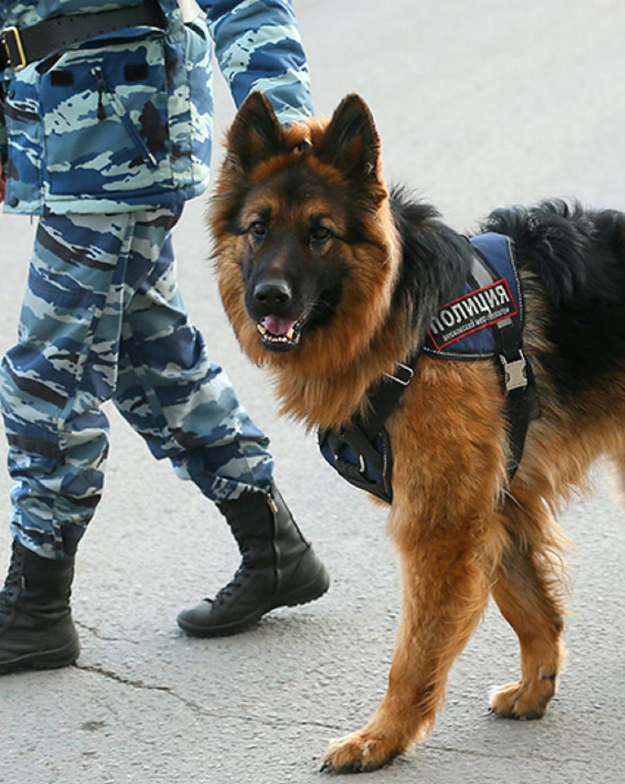 Двое саратовцев держали девушку в заложниках три года