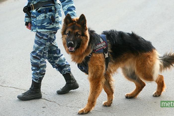 Двое саратовцев держали девушку в заложниках три года