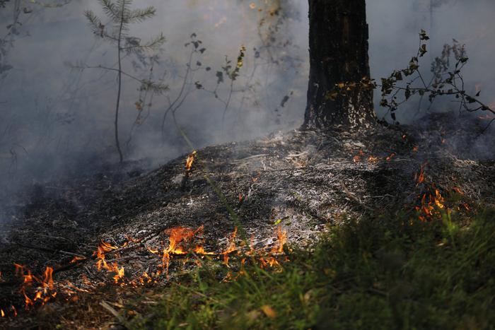 В Чили из-за пожара гибнут люди