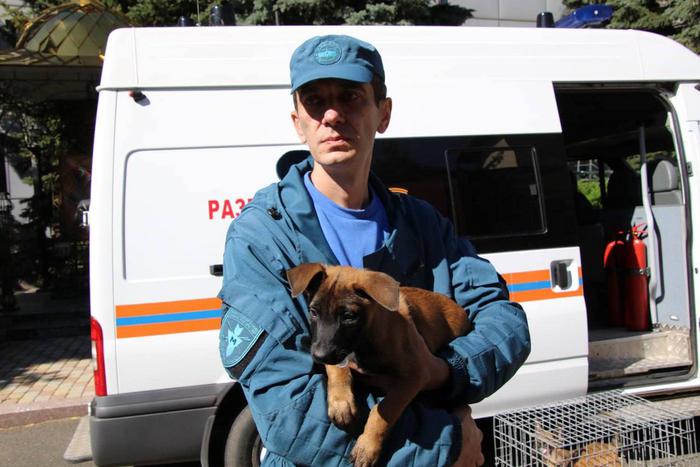 Кинологи МЧС ДНР обеспечивают безопасность и спокойствие жителей республики. О специфике работы Metro рассказал специалист Денис Богдан